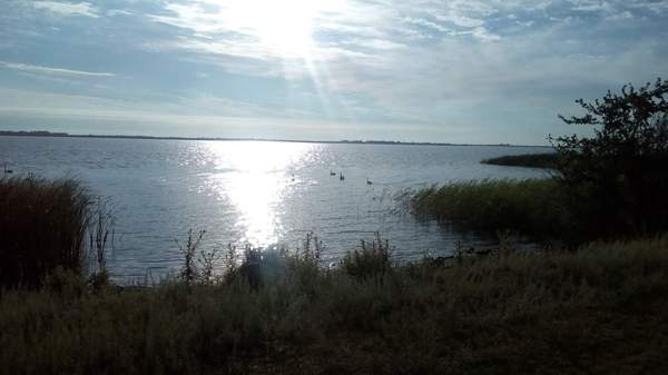 Воскресный отдых,лебеди вокруг,зари восход и мысли вслух...