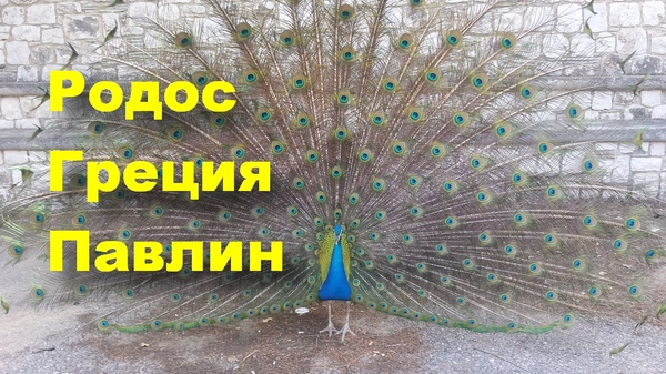         , , , -