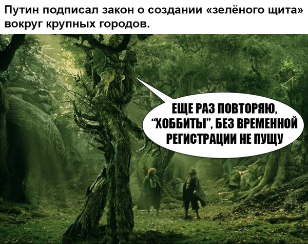 Деревья на страже порядка