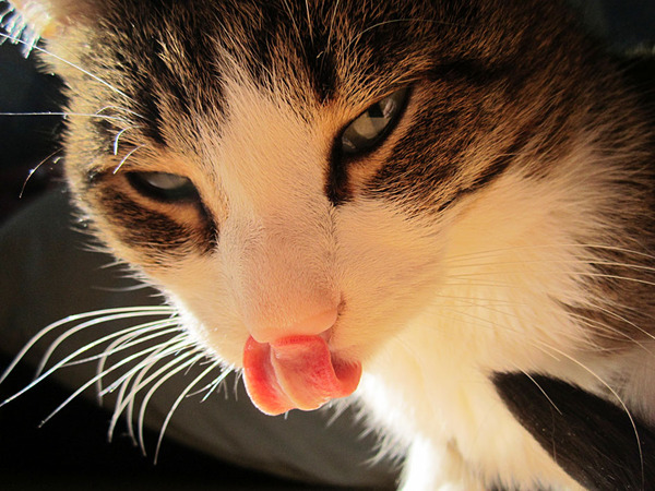 нада нада умываца паутрам и вечерам!