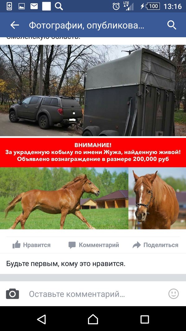Внимание! Украли лошадей. Московская область.