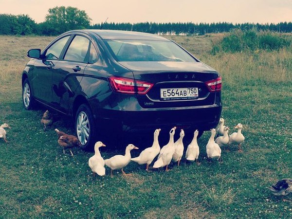 Почем купил? Какой расход? Это точно ВАЗ? | Пикабу