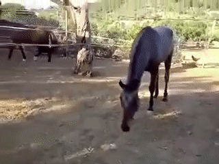 1467821673120114226.gif
