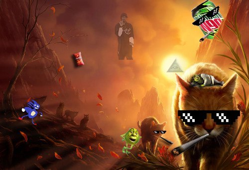 Mlg Коты воители