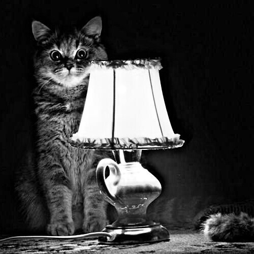 Признаки Паранойи