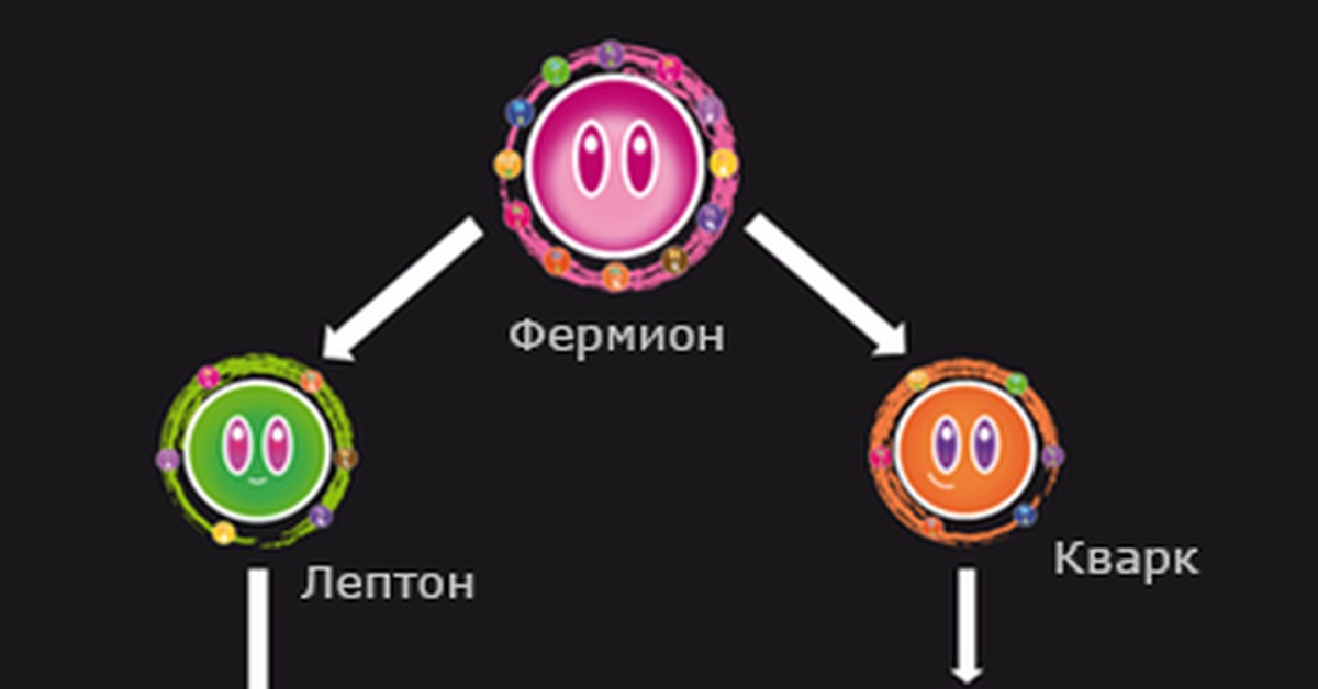 адроны это фермионы