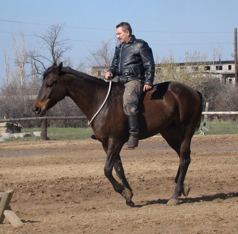 Без седла что значит. Смотреть фото Без седла что значит. Смотреть картинку Без седла что значит. Картинка про Без седла что значит. Фото Без седла что значит