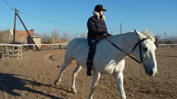 Без седла что значит. Смотреть фото Без седла что значит. Смотреть картинку Без седла что значит. Картинка про Без седла что значит. Фото Без седла что значит