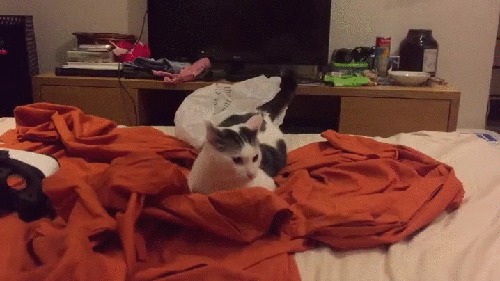    ,  , , , 
