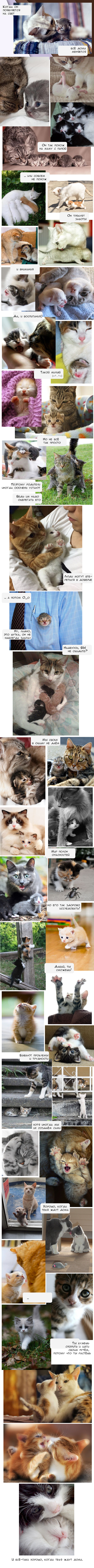 ����. � ����