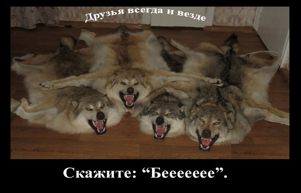 Фотография на память.