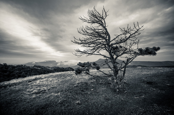 На семи ветрах
