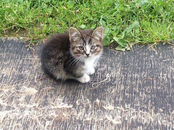 ������ � �������