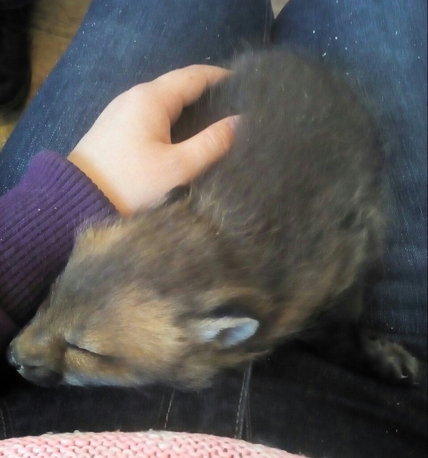 �������� ������,������� ����� � ��������