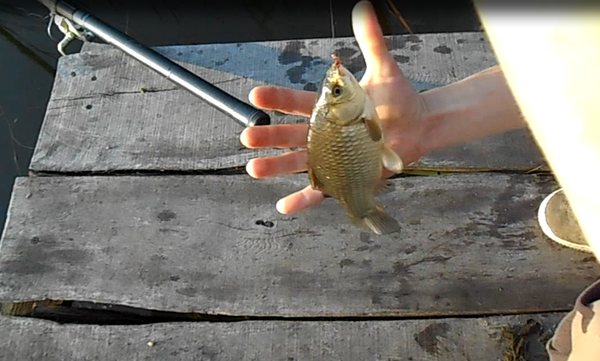 Тот самый момент 2.