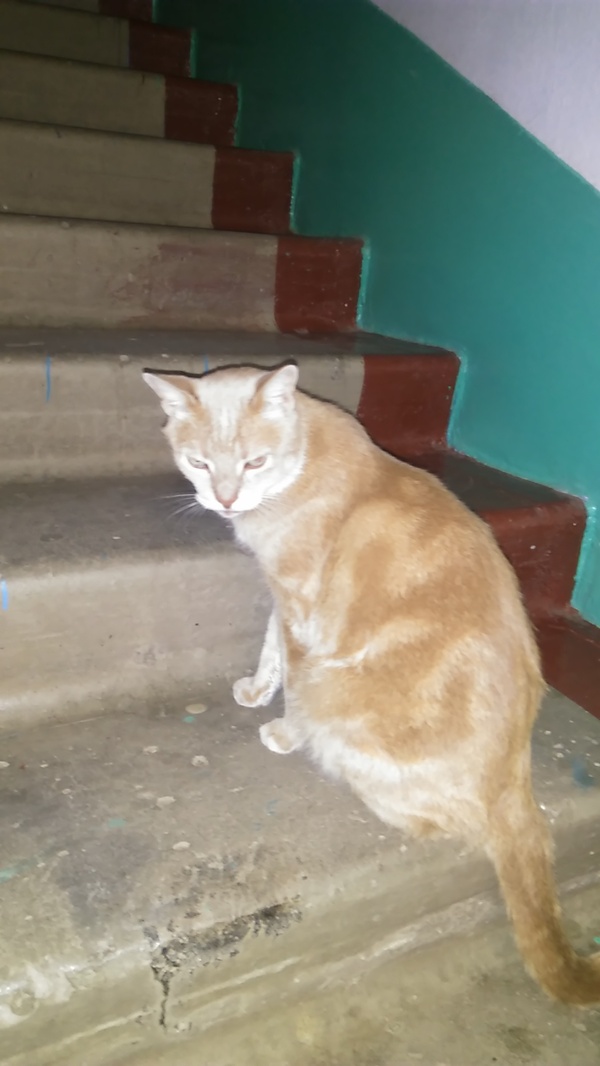 ��� �� ������� ��������, ��� �� ���������...