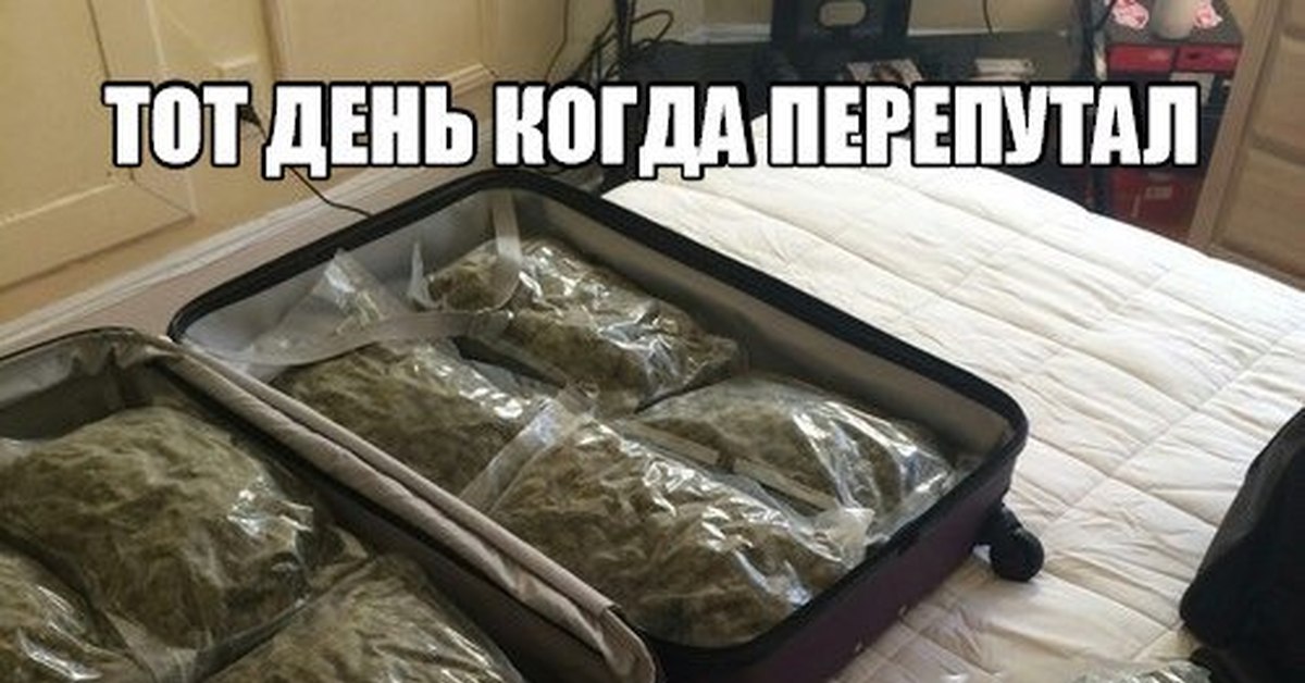 Рассказал коту о своей жизни. Серебро группа перепутала. Корова карикатура. Новорожденные близнецы. Пальто мечтай о великом.