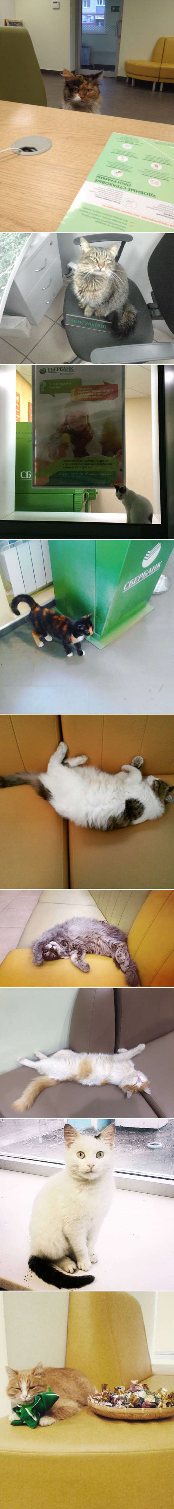 ������ ��������� �.3