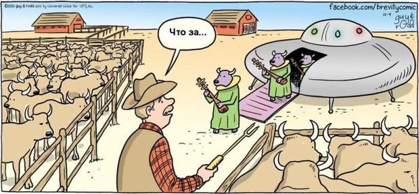 � ���� ��� ������� � ��������������