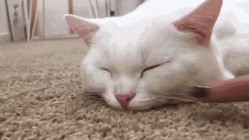 &quot;, ...   &quot;