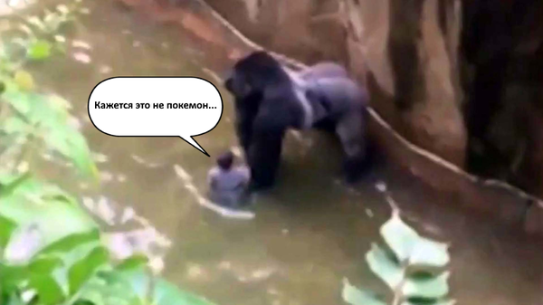 �� ������ � �������