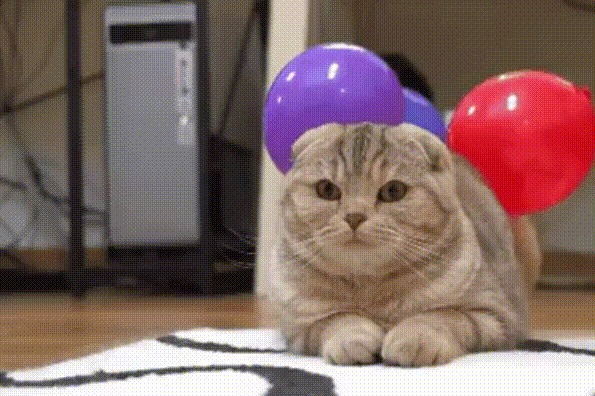  !