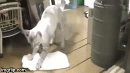      ..?