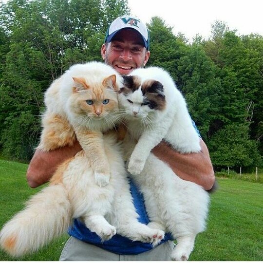 ������� ����� ����� �� ������