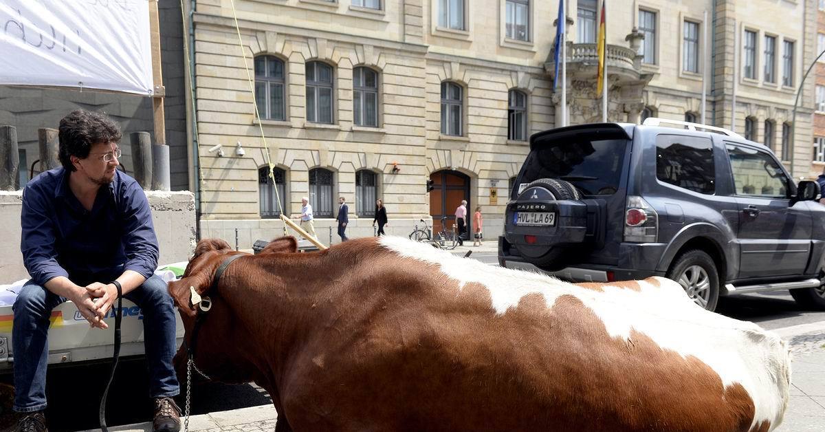 Ситуации из жизни. Смешные ситуации. Странные ситуации из жизни. Смешные случаи. Нелепые приколы.