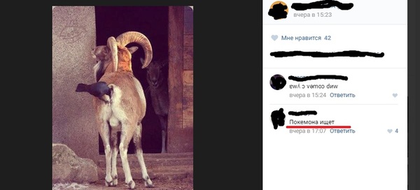 В тему Pocemon GO