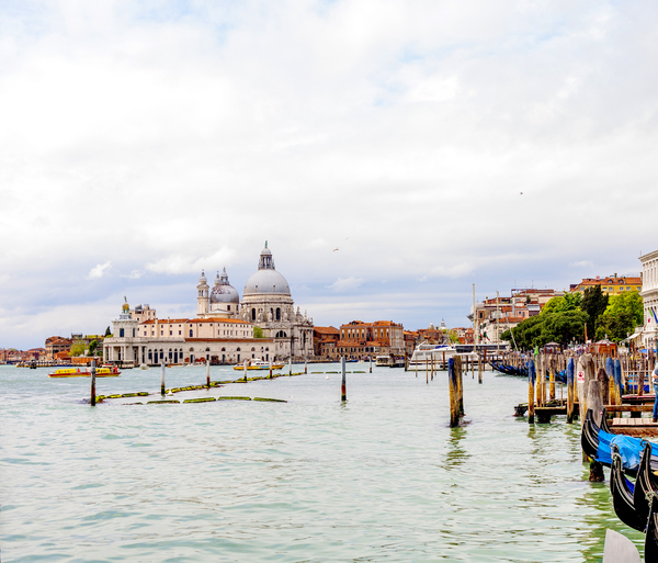 �������, 1 ��� 2016