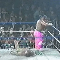Botchamania Botchmania, Botch, , Fail, 