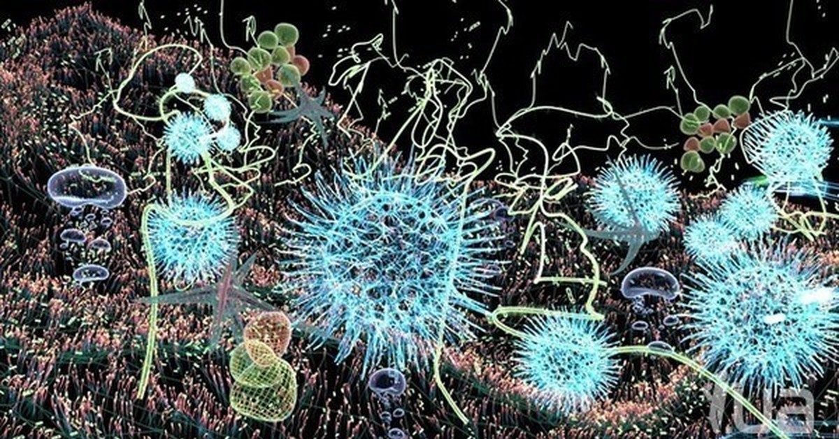 Организмы играющие. Микромир под микроскопом. Удивительный микромир под микроскопом. Микромир под микроскопом бактерии. Бактерии и вирусы под микроскопом.