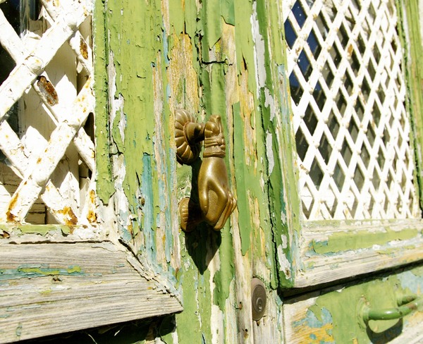 ������ �����.