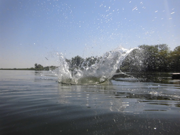 Фото в купальнике, на котором я действительно удалась