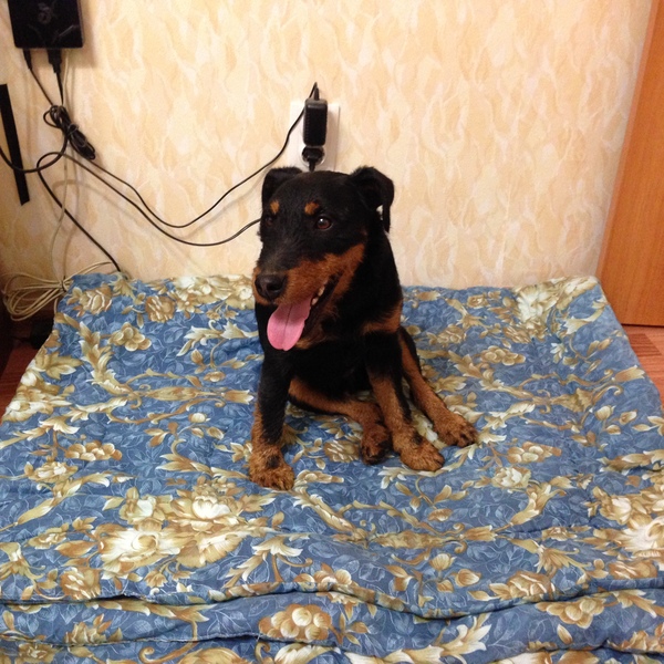 ������ ��, ������ ���������! ���� ������ ������!