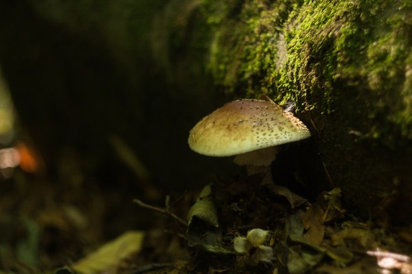 ������ � �����. ������.