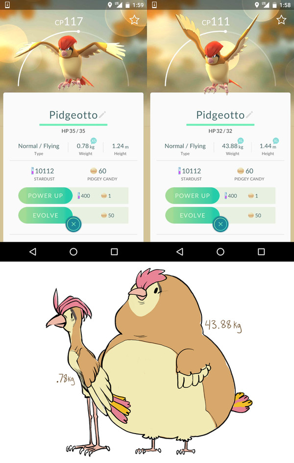 Логика Niantic по весу