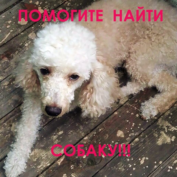    , , ,  
