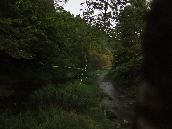 �������� ��������� ������