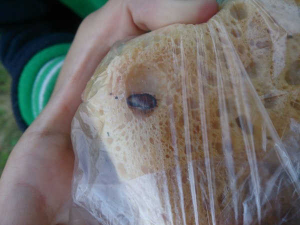 ����� � ���-�� ��������... � �����.