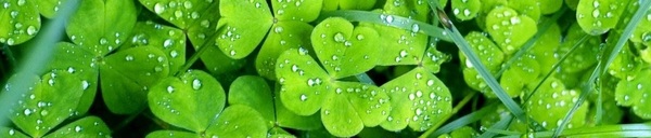 ������������ ������������� :)