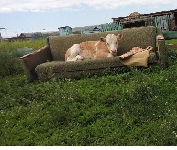 Ҹ��� �� ������