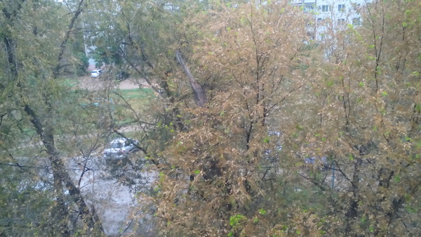 � ���������� ��������� �����.