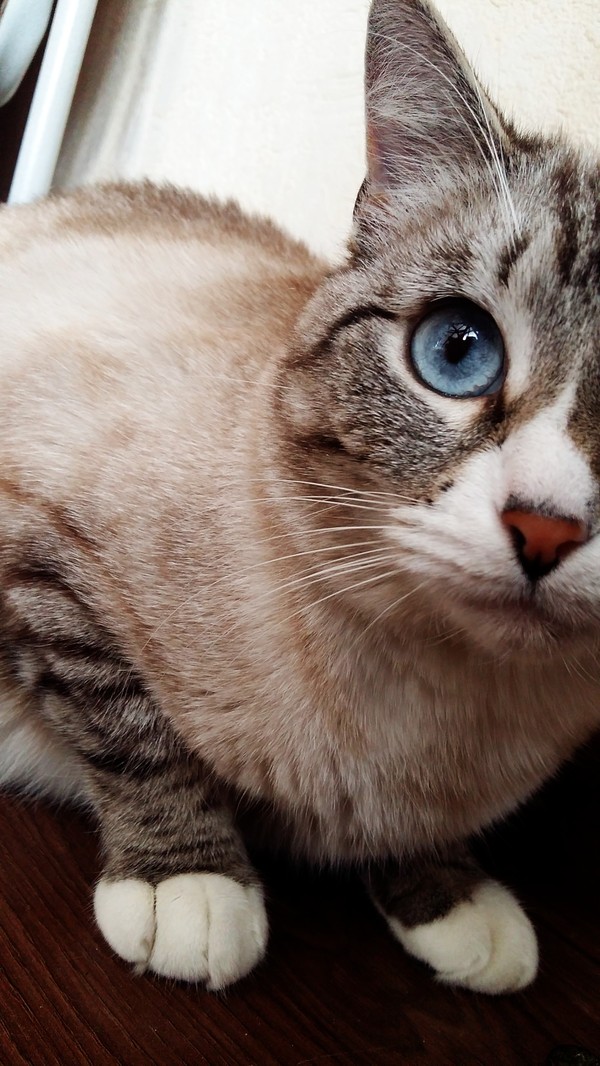 ������������