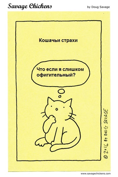 Кошачьи страхи