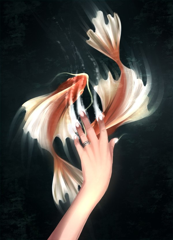 �� ��� ����� ���������� ����� ��� ��� :D