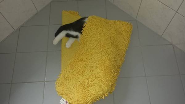 Под одеялом я сплю примерно так же