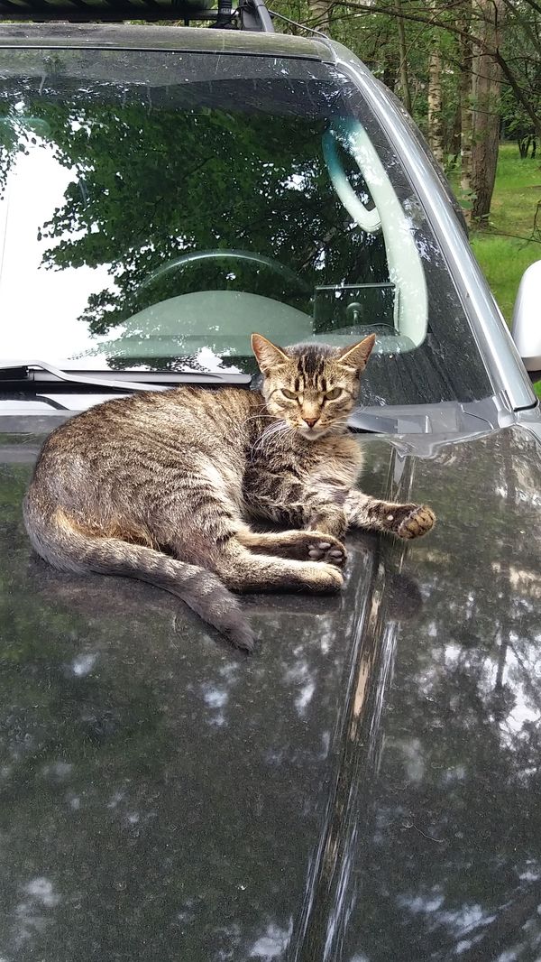 �� � ������ ������?!