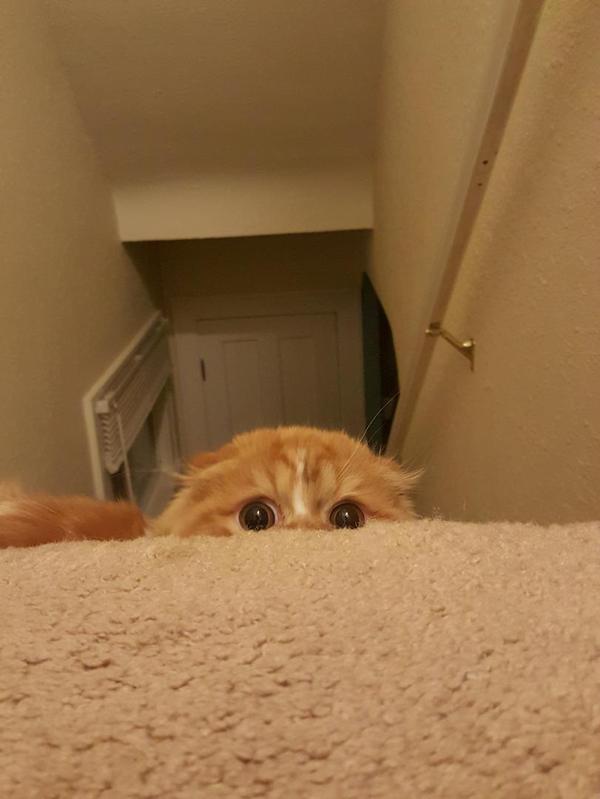 Вас заметили!